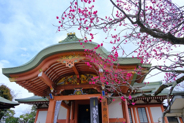 秋の京都で梅の名所へ：北野天満宮のもみじ苑と城南宮の紅葉
