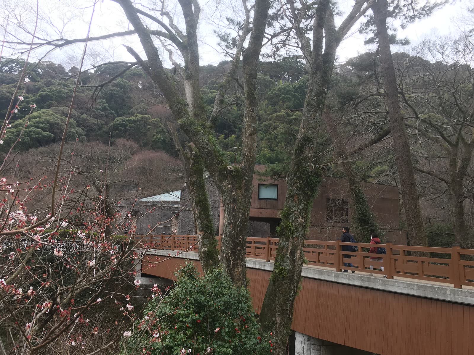 熱海梅園